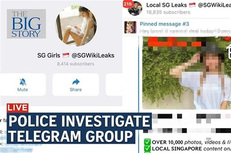 Telegram group circulating obscene images allegedly。